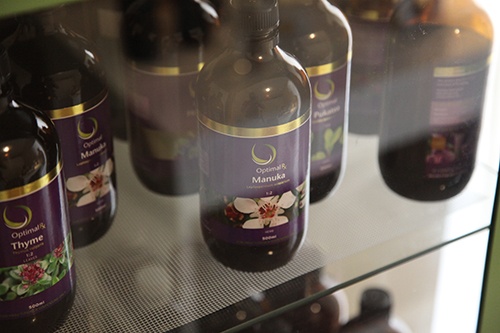 nutritional and herbal medicine anna-maria.jpg